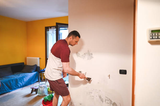 Best Attic Mold Removal  in Leland, NC